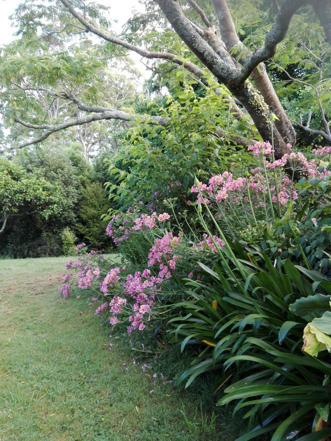 Purple Hen Country Lodge กาติกาติ ภายนอก รูปภาพ